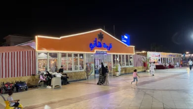 Photo of رقم تليفون قرية هاني